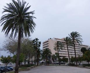 Vista exterior de Apartament de lloguer en  Palma de Mallorca amb Aire condicionat i Terrassa