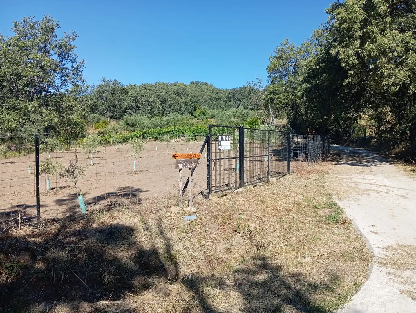 Terreni e lotti in vendita a Jarandilla de la Vera, imagen 4