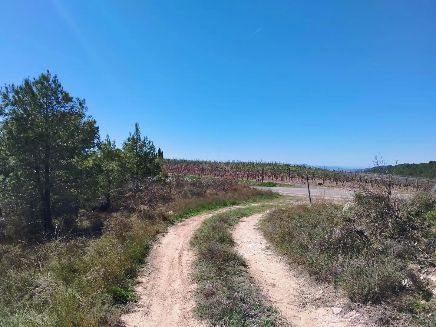Terreno en venta en La Morera de Montsant