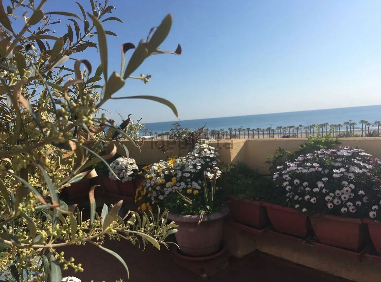 Garden of Attic for sale in  Valencia Capital  with Air Conditioner and Heating