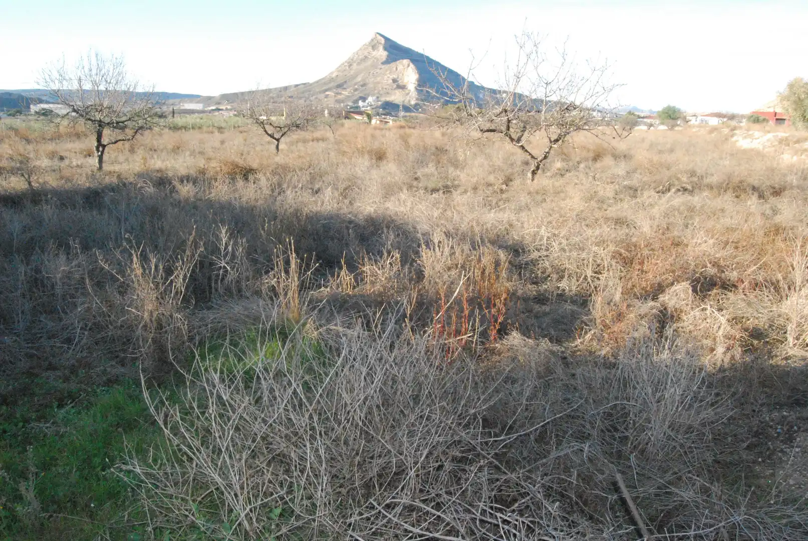 Houses for sale in Cañada del Fenollar
