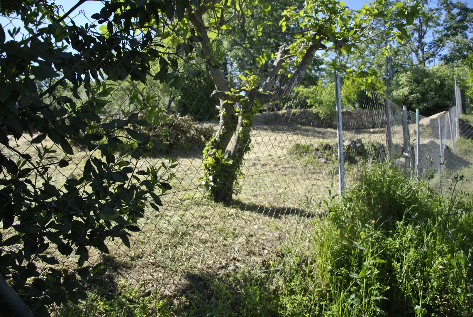 Terreni e lotti in vendita a Avenida de la Constitución, imagen 8
