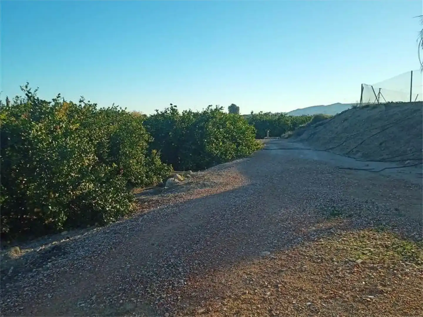 Terreno en venta en Orihuela
