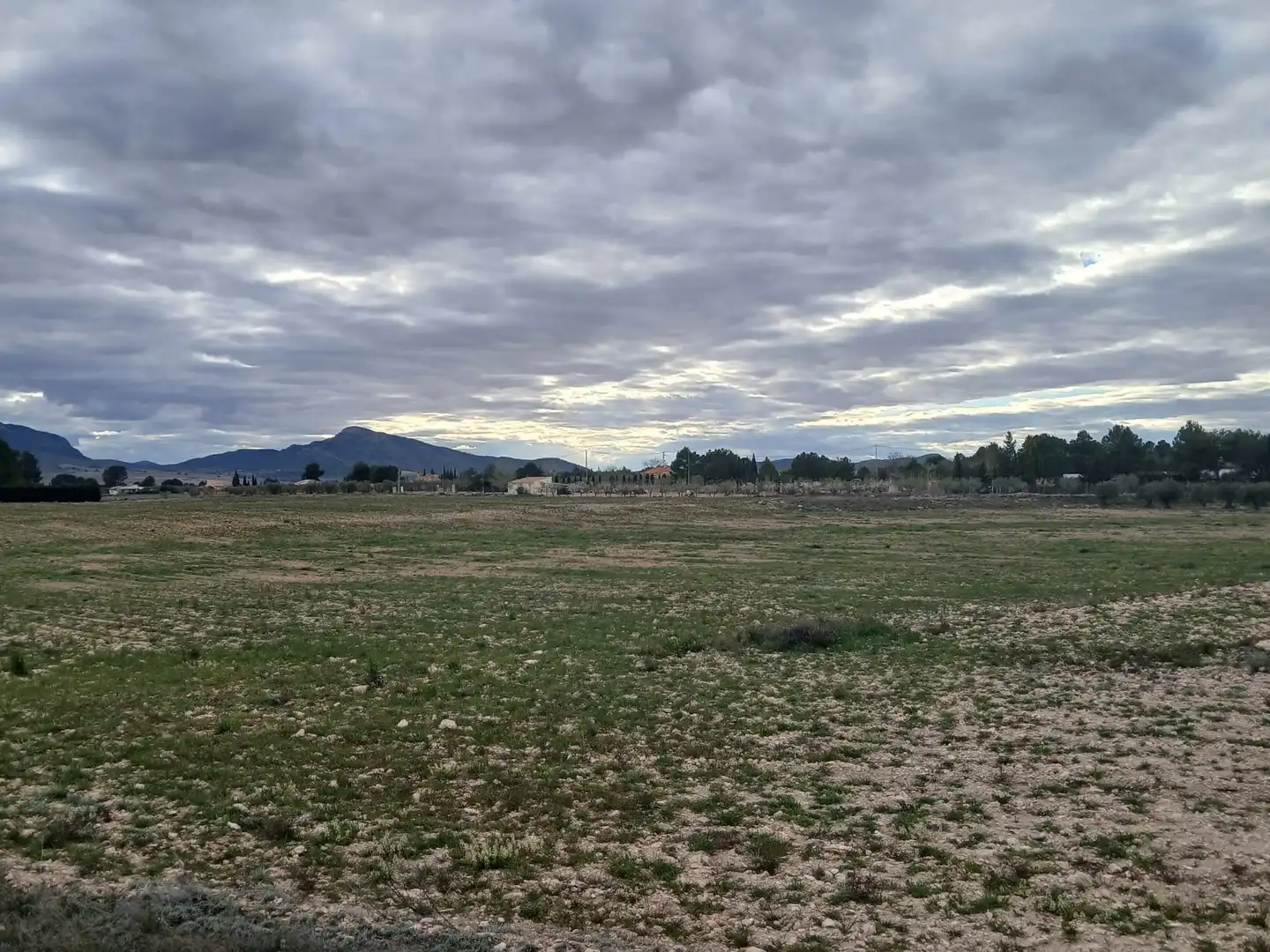 Residential land for sale in Yecla, imagen 5