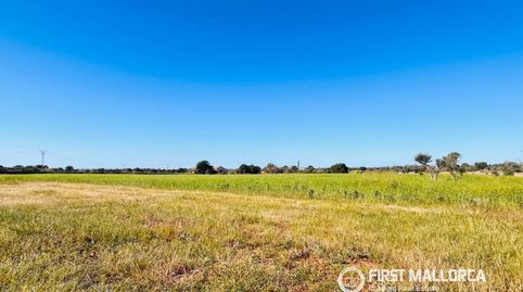 Foto 2 de Terreno en venta en Cala Ferrera - Cala Serena, Felanitx