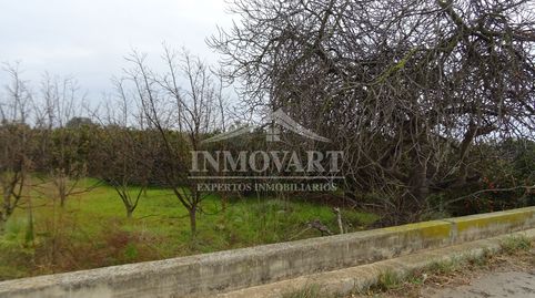 Immagine 5 dell'annuncio