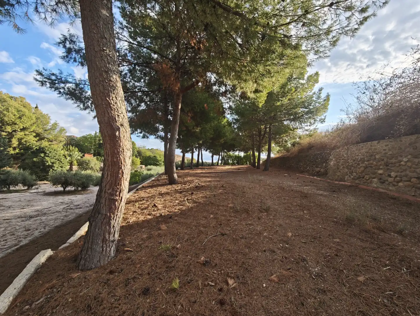 Villa avec piscine à vendre à Totana, imagen 44