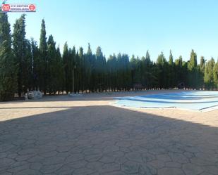 Swimming pool of House or chalet for sale in Campo de Criptana