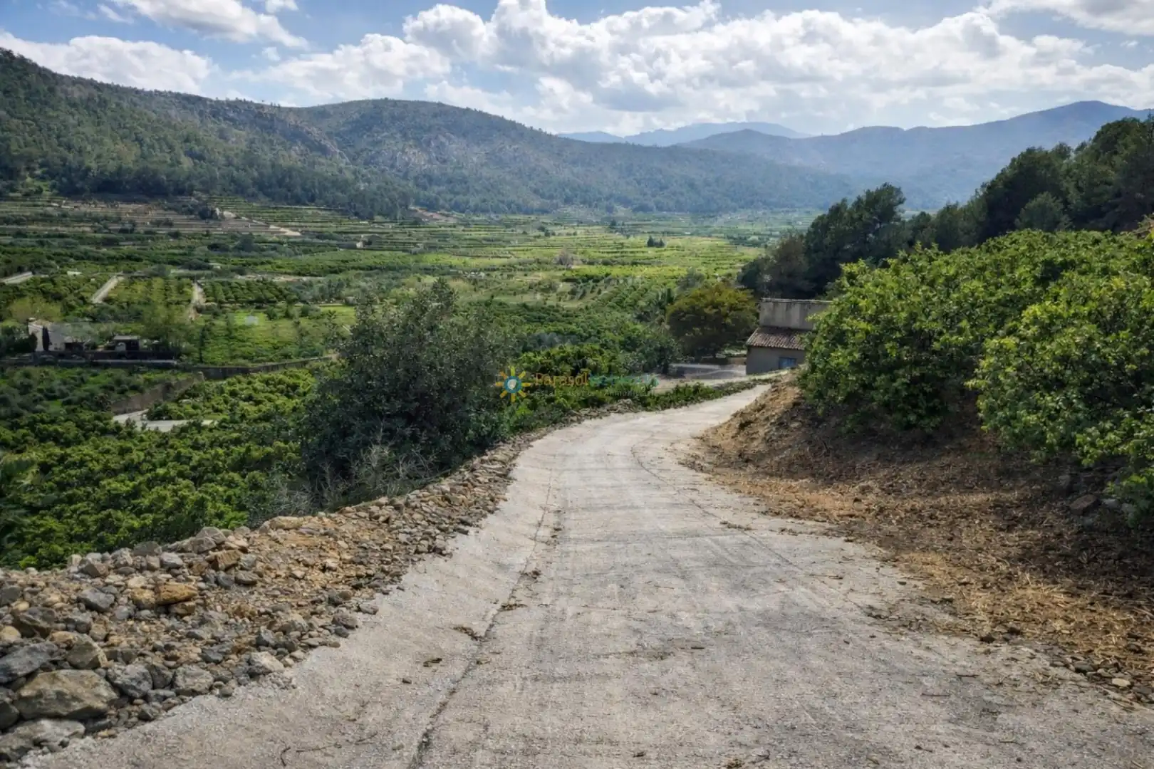 Vista exterior de Casa o xalet en venda en Alfauir amb Jardí privat, Terrassa i Forn