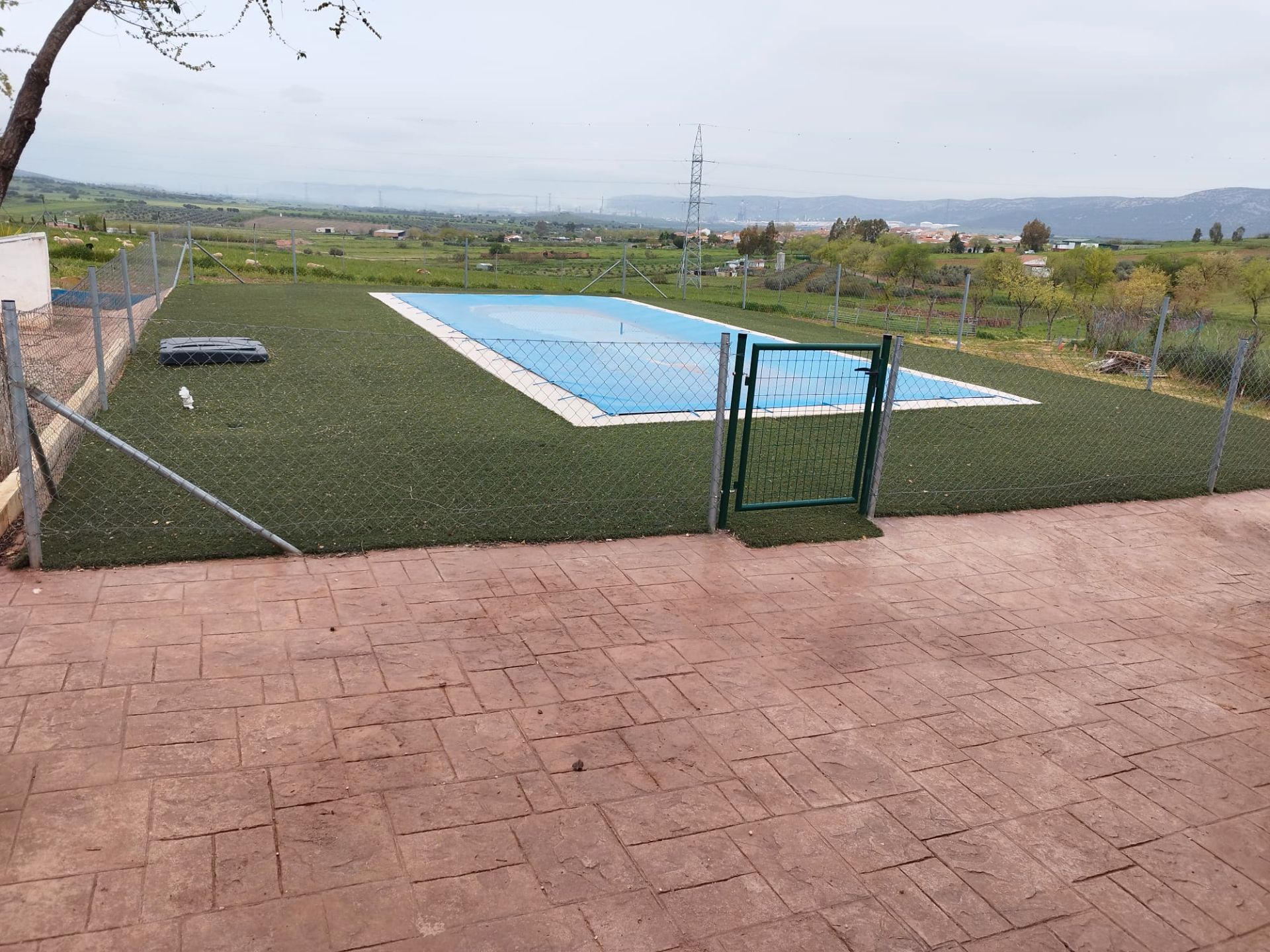 Swimming pool of Country house for sale in Puertollano  with Private garden and Swimming Pool