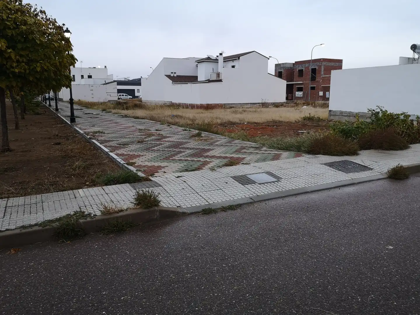 Land for sale in Montijo