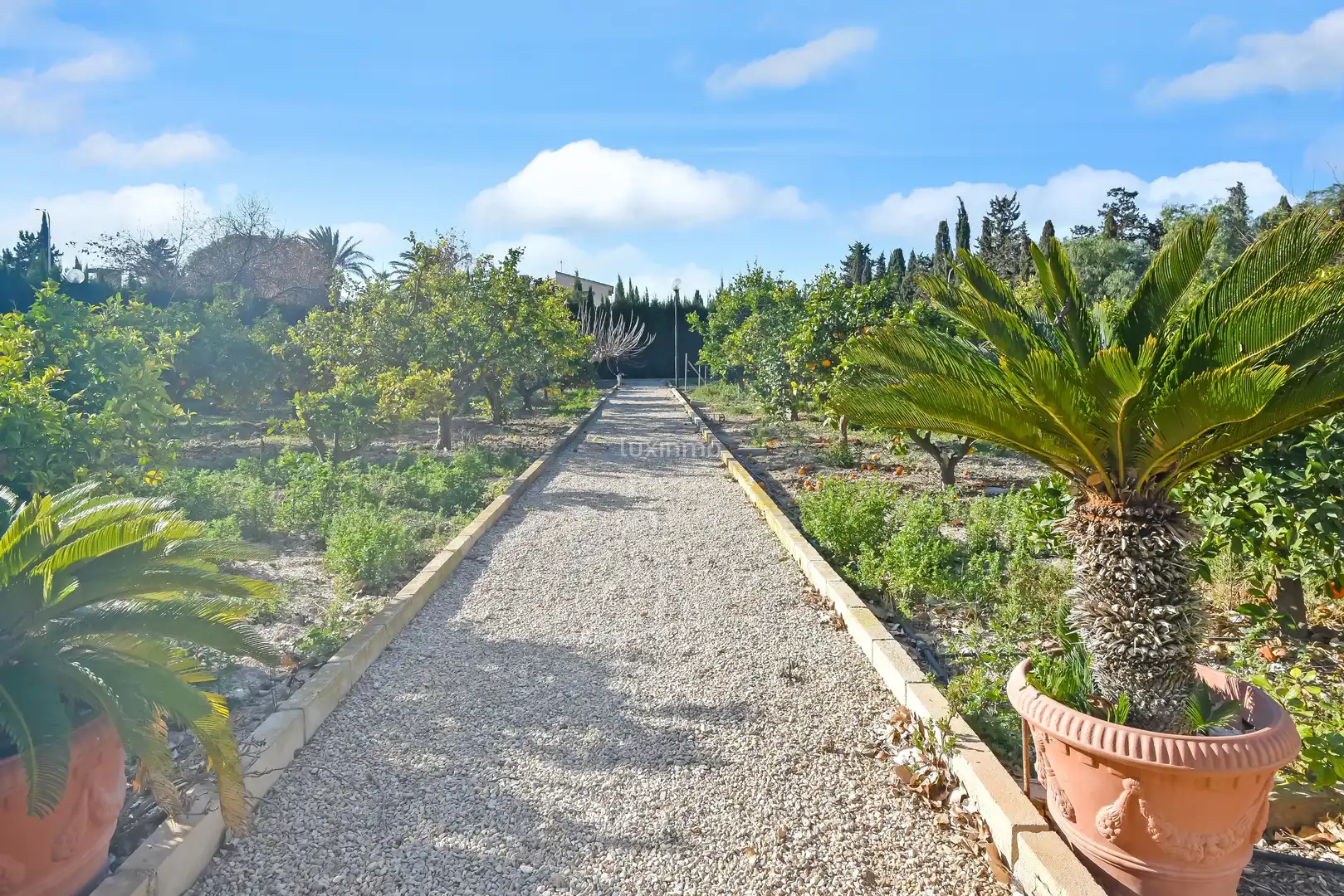 Jardí de Casa o xalet en venda en Alicante / Alacant amb Calefacció, Terrassa i Traster