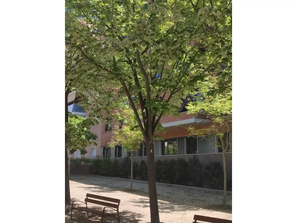 Flat with lift for sale in Calle Riera Del Pare Fita, imagen 9