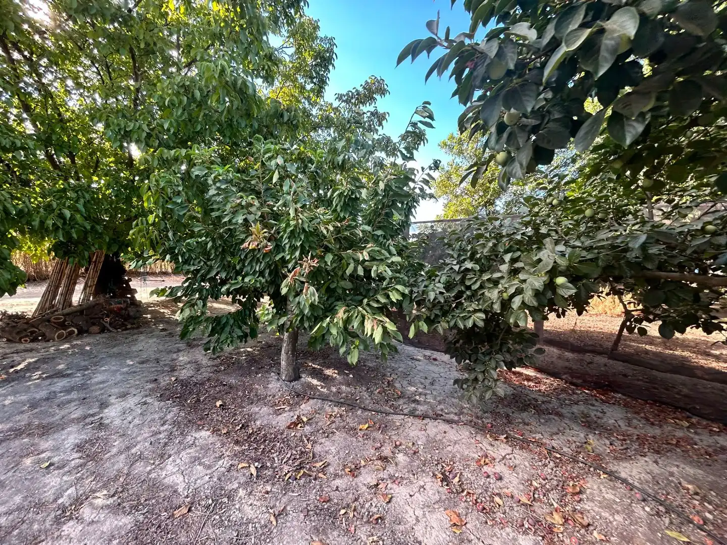 Terrains et parcelles à vendre à Fuente Vaqueros, imagen 7