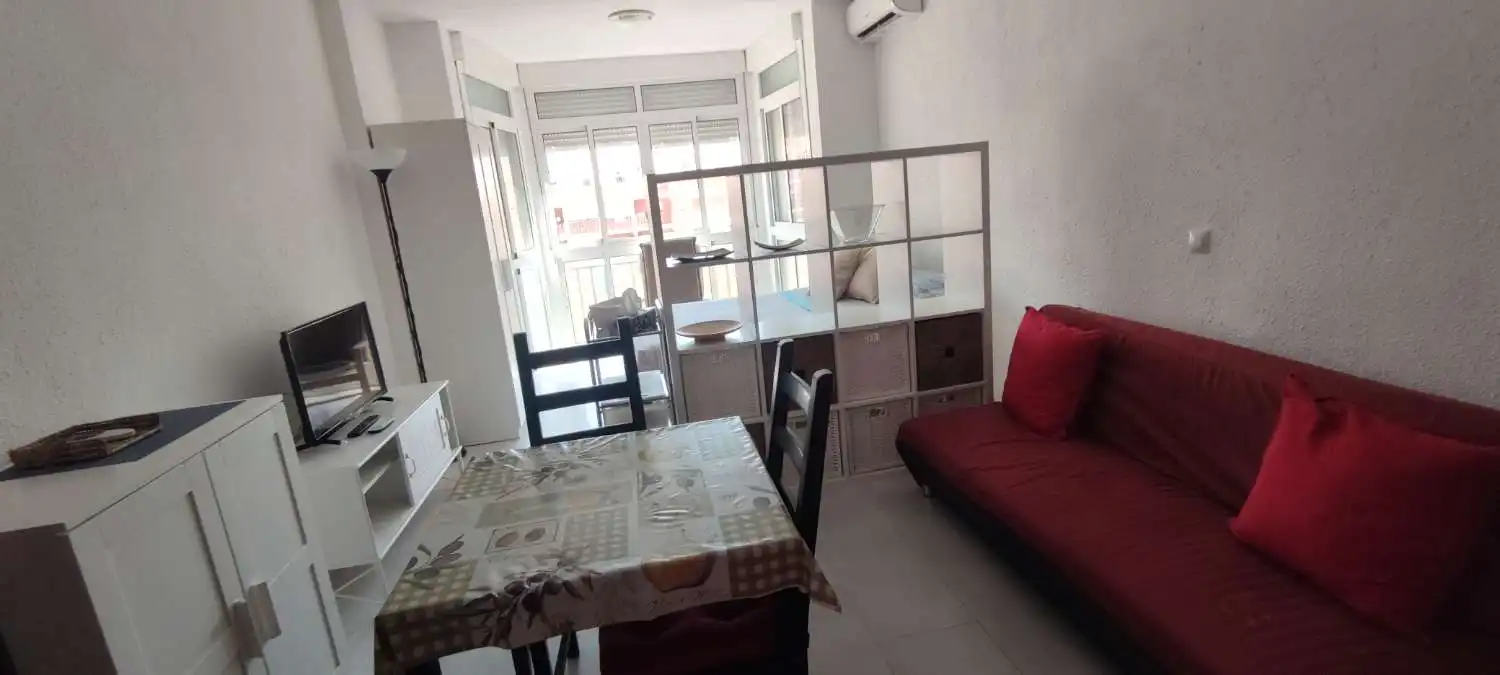 Living room of Study for rent in Torremolinos  with Furnished and Pets allowed