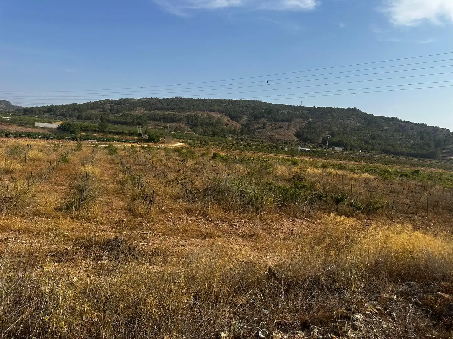 Terreno residencial en venta en El Pinós / Pinoso, imagen 8