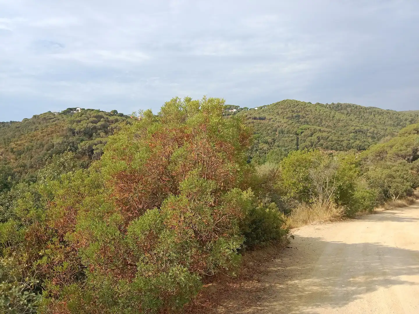 Terrenos y solares en venta en Sant Cebrià de Vallalta