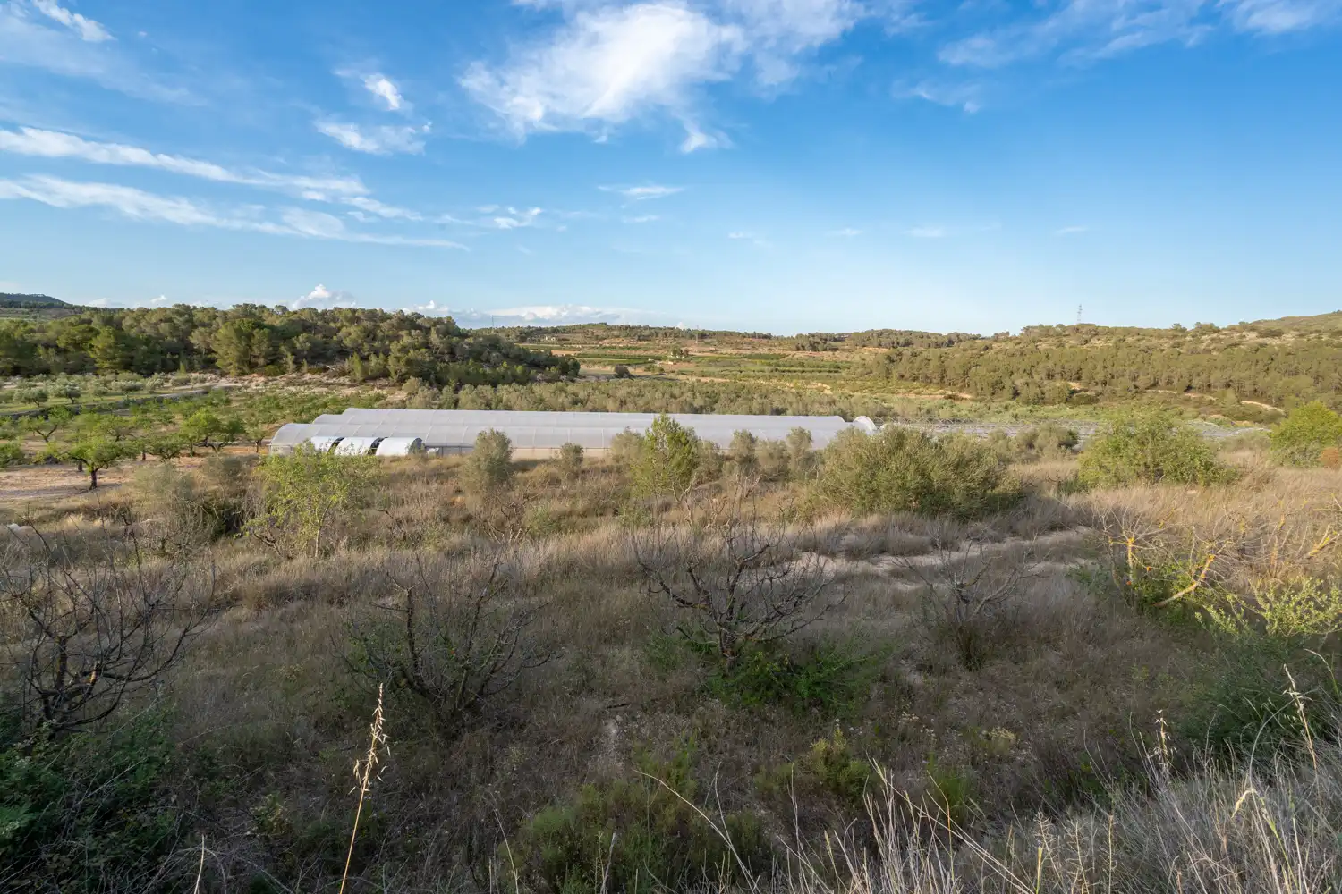 Land for sale in El Pinell de Brai