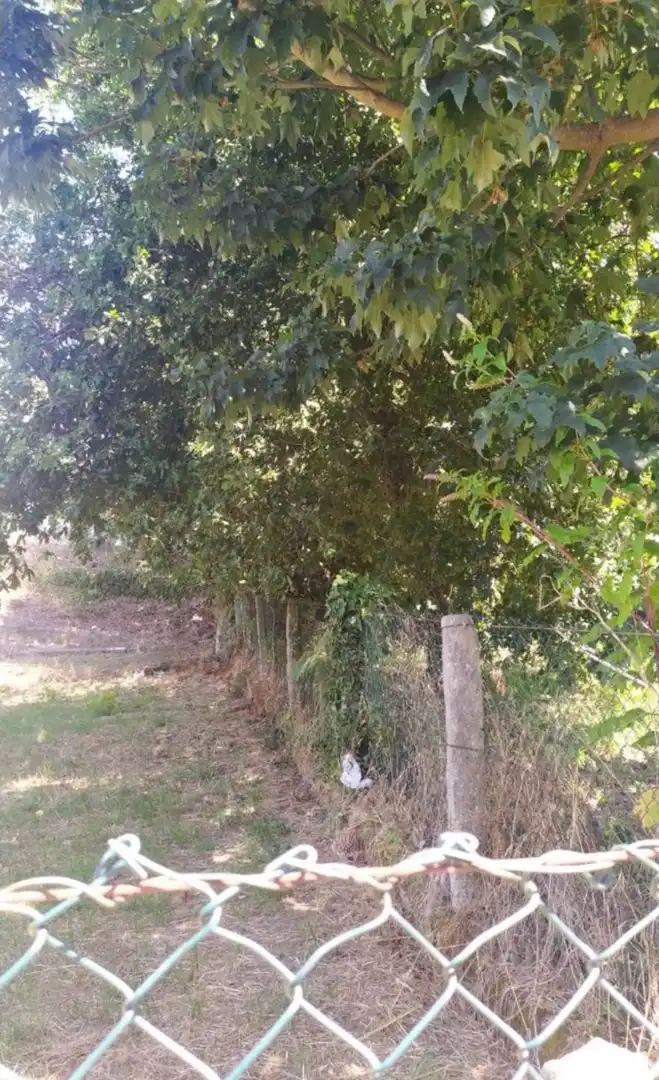 Terrenos y solares en venta en Sobradelo, imagen 7