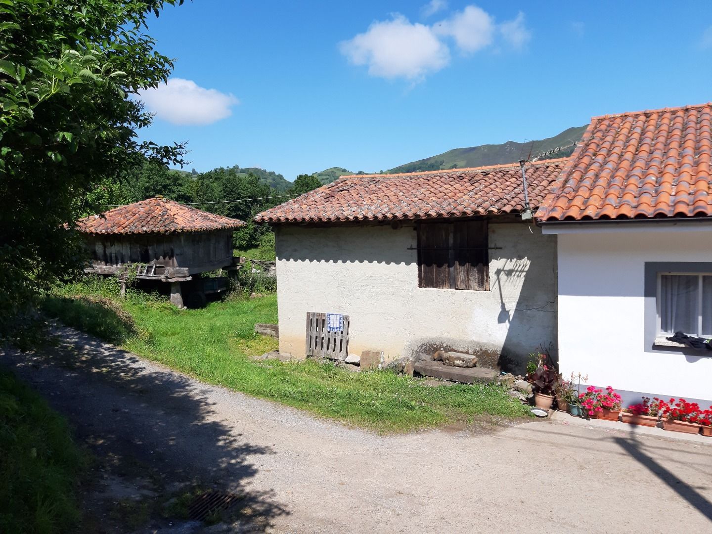 Vista exterior de Casa o chalet en venta en Parres con Jardín privado