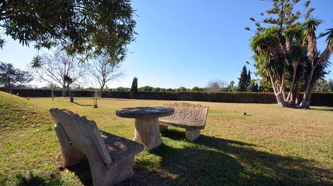 Rústica con jardines, piscina y vistas a la Sierra de Tramuntana  Marratxí, imatge 5