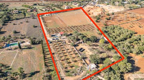 Photo 3 of Country house for sale in Carrer de Sa Fira, 1, Llucmajor pueblo, Illes Balears