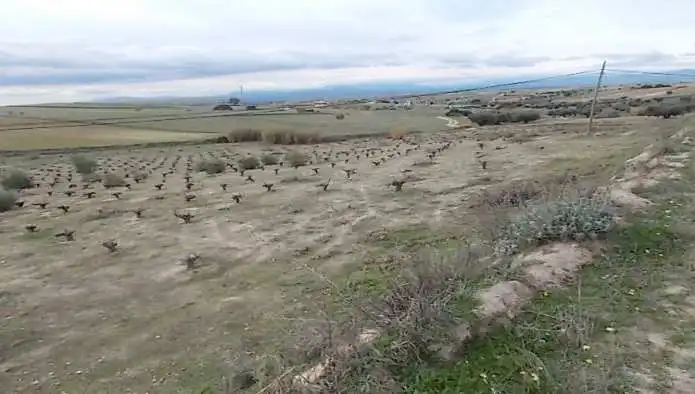 Rustikales Grundstück zum Verkauf in Pt Paraje La Perdiguera, imagen 7