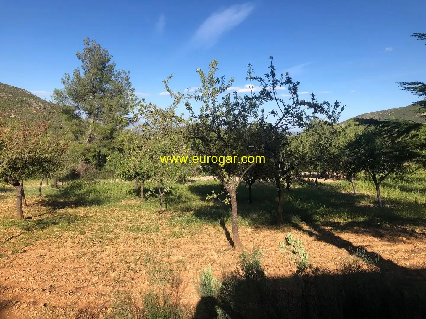 Casa o chalet en venta en Chiva con Trastero