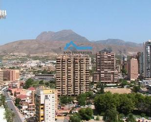 Vista exterior de Estudi en venda en Benidorm amb Aire condicionat, Calefacció i Jardí privat