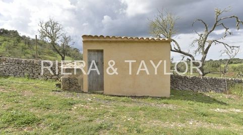 Photo 3 of Land for sale in Ariany, Illes Balears