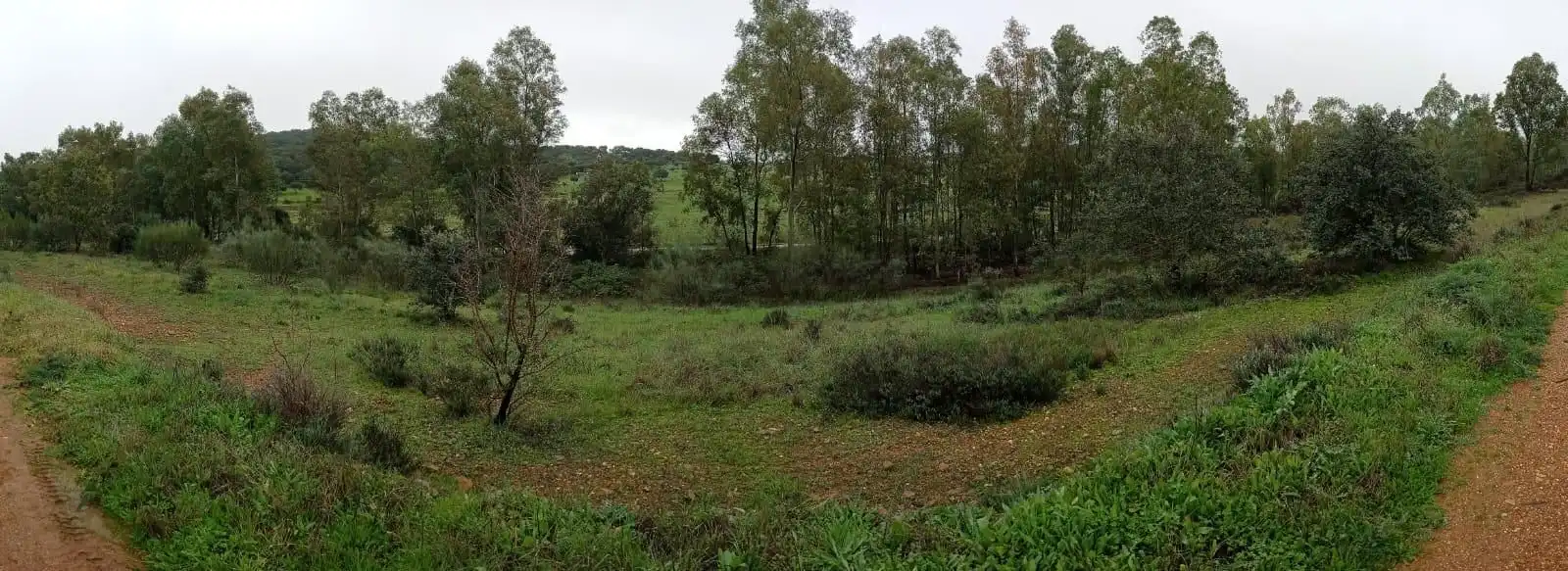 Casa rústica en venda a Valdesalor - Rincón de Ballesteros