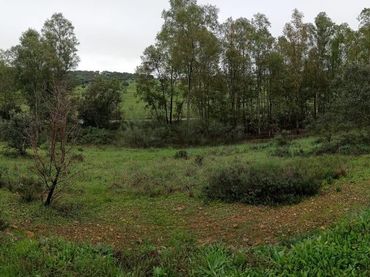 Casa rústica en venda a Valdesalor - Rincón de Ballesteros