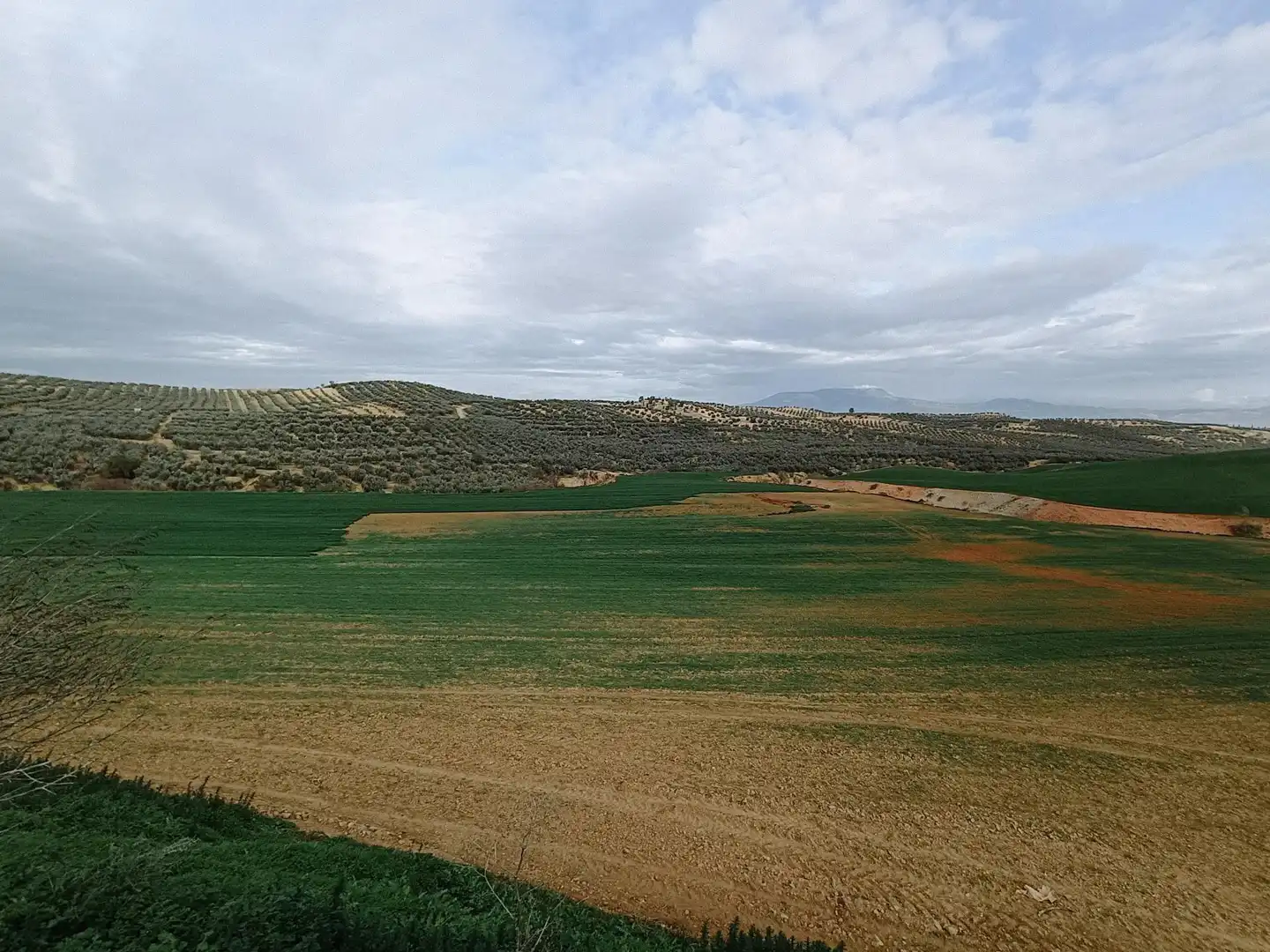 Terreni e lotti in vendita a DISEMINADOS, imagen 6