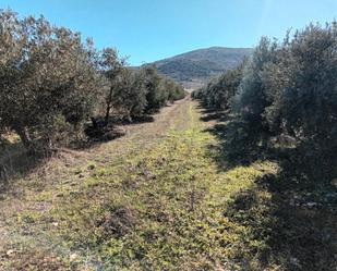 Land for sale in Villapalacios