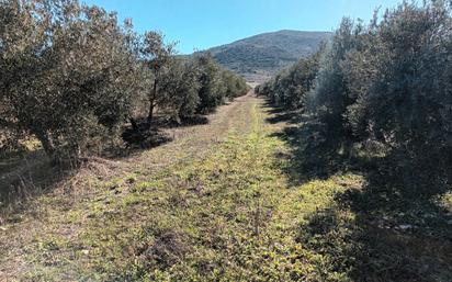 Terreny en venda en Villapalacios