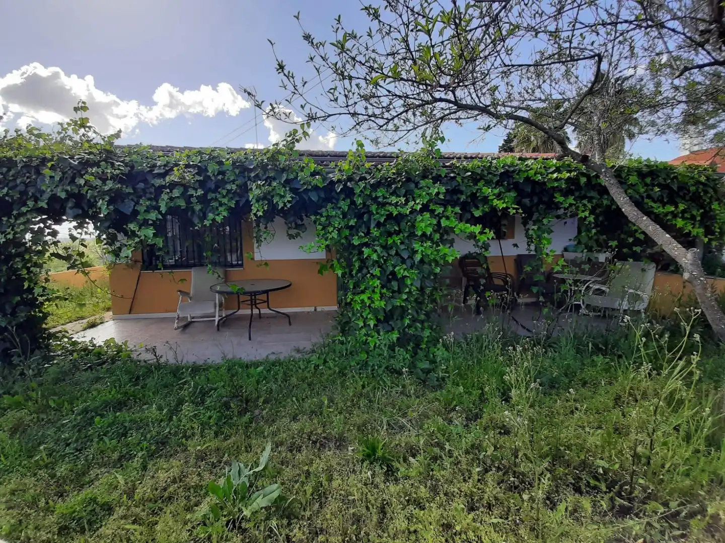 Garden of Houses for sale in Ceclavín  with Air Conditioner, Heating and Private garden