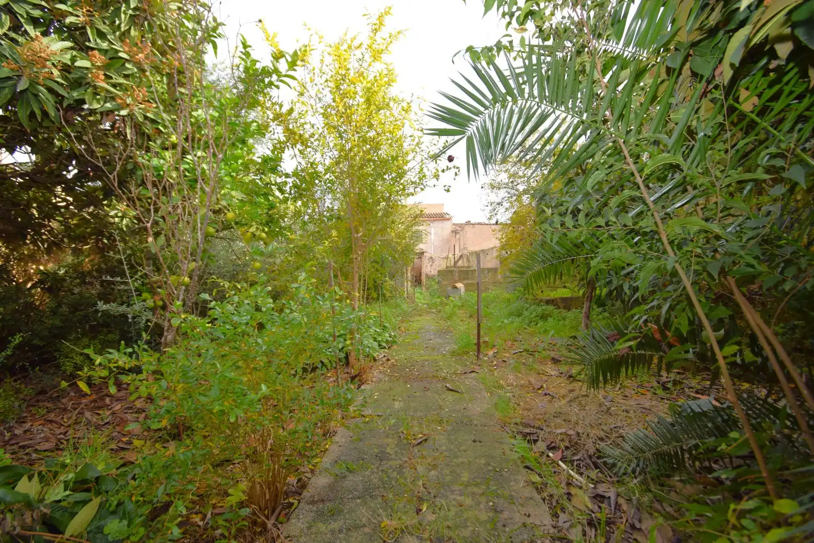 House with garden for sale in Calle Major 35, imagen 34