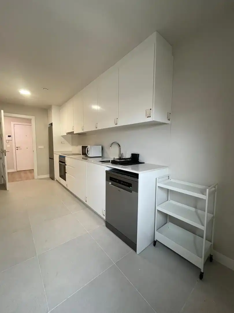 Cocina de Piso de alquiler en Las Palmas de Gran Canaria con Terraza, Trastero y Amueblado