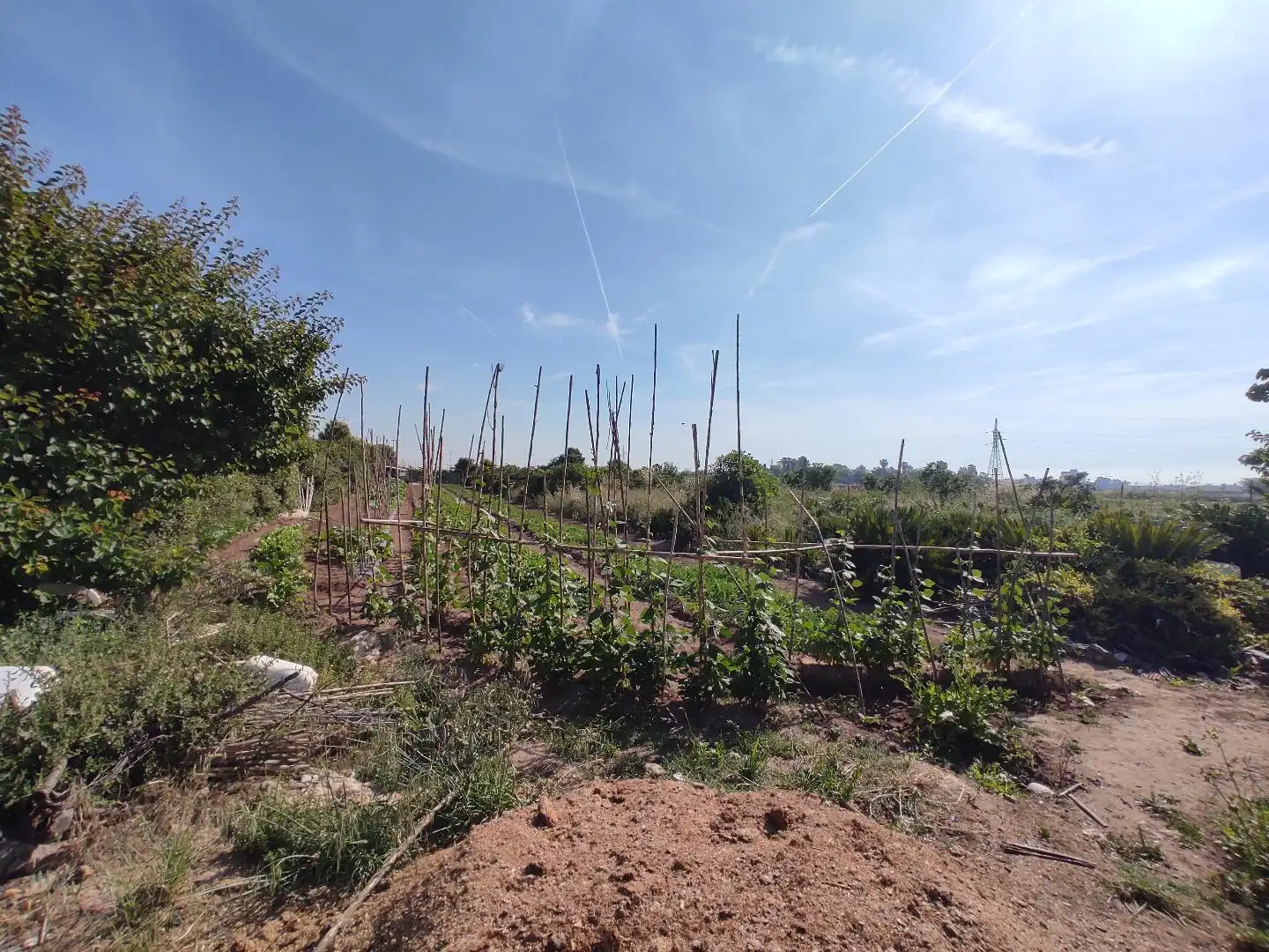 Land for sale in Valencia