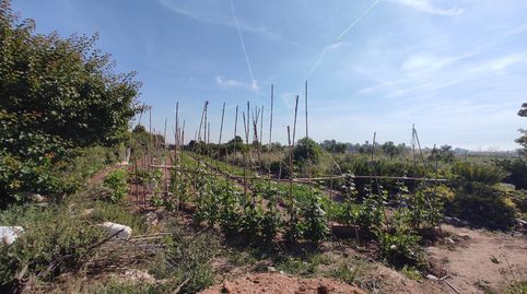 Foto 5 de Terreno en venta en Carpesa, Valencia Capital