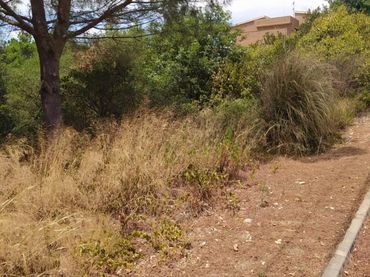 Terreno residenziale in vendita a Riells i Viabrea
