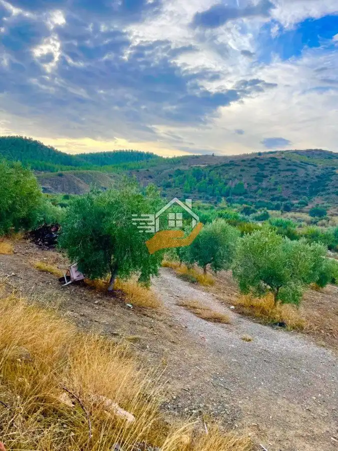 Maison rustique à vendre à Vélez-Rubio, imagen 5