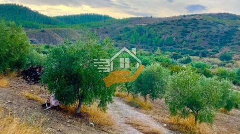 Photo 5 of Country homes for sale in Vélez-Rubio, Almería