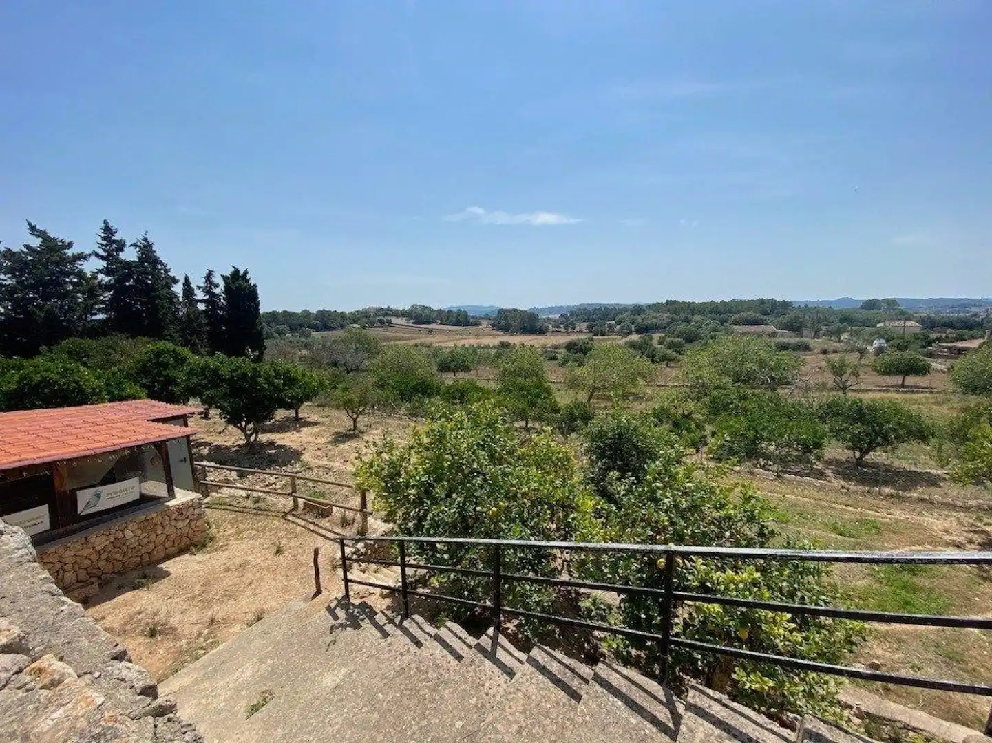 Casa amb terrassa en venda a Lloret de Vistalegre - Carrer del Passeig de Josep Nicolau, imagen 44