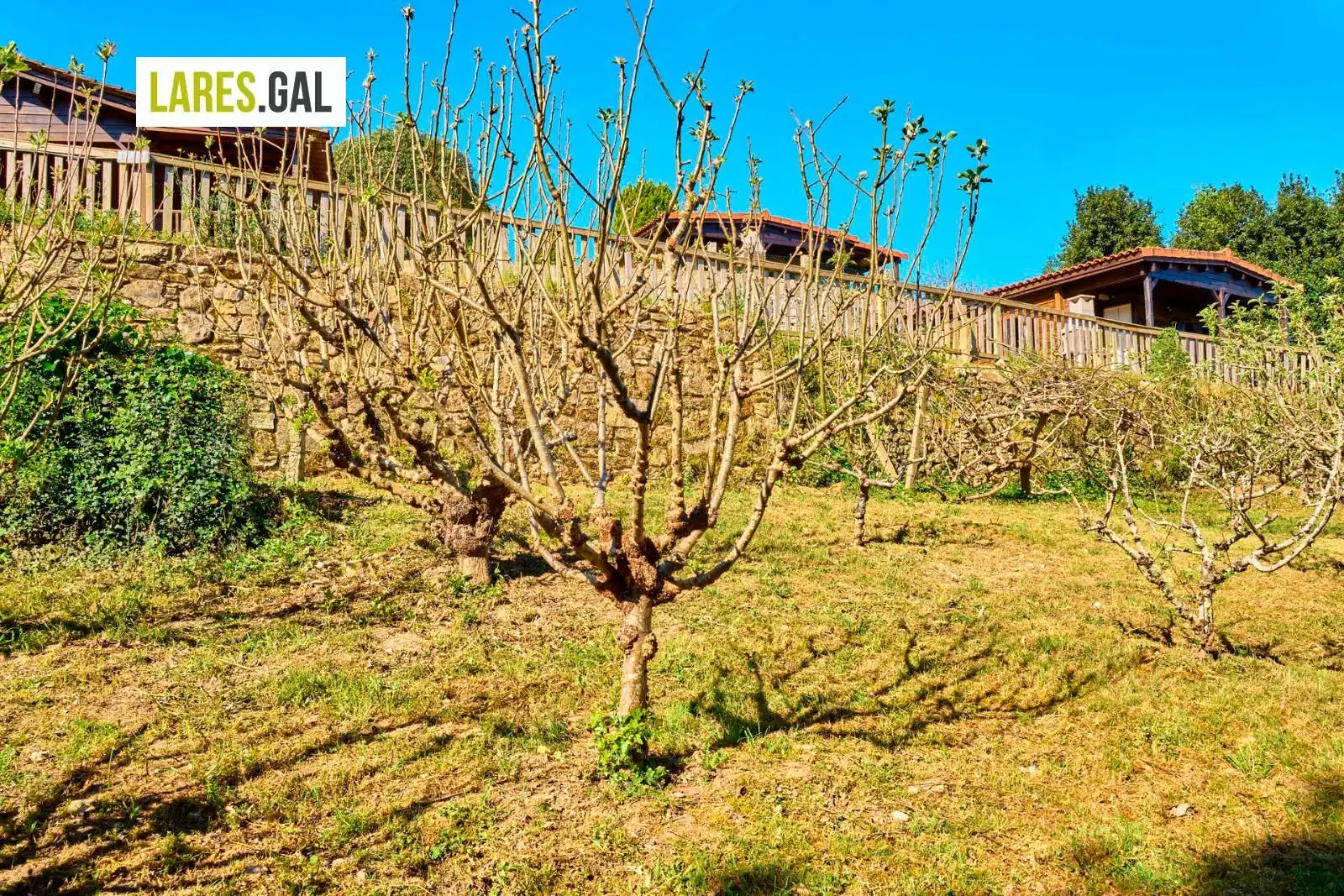 Garten von Grundstücke zum Verkauf in Bueu