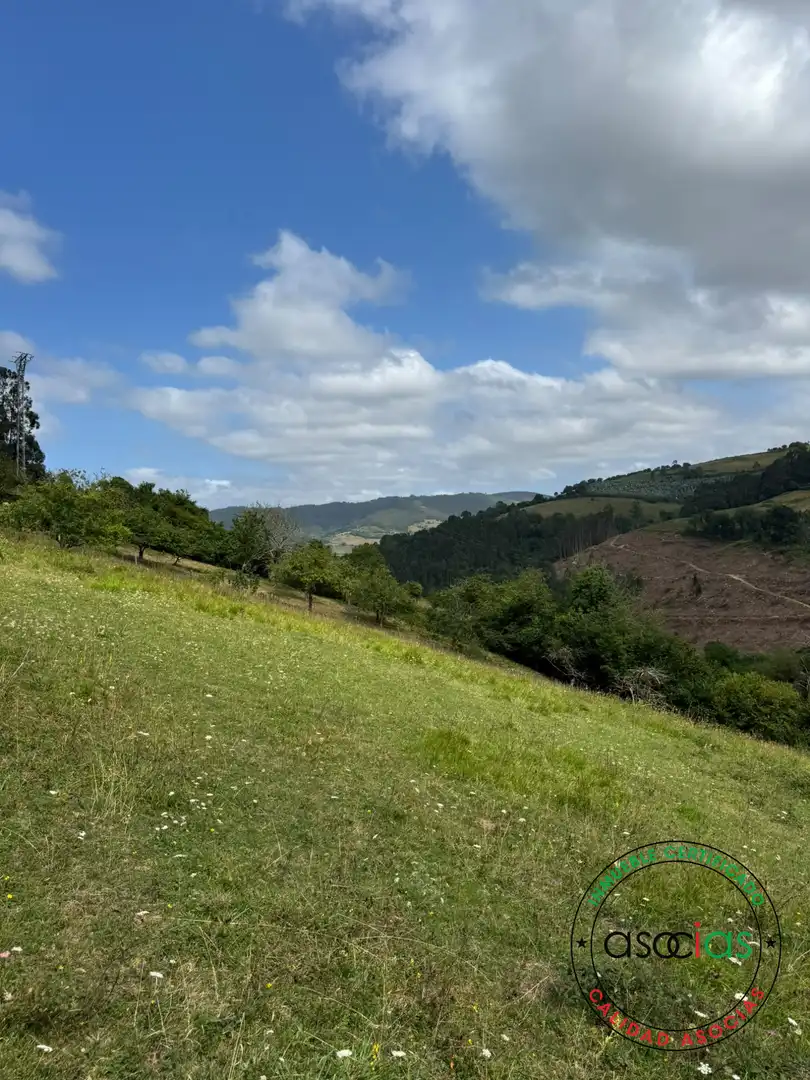 Terreny en venda en Villaviciosa