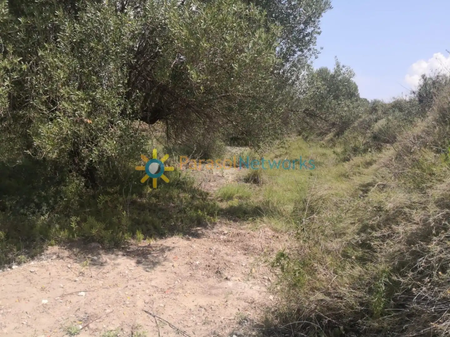 Terreny rústic en venda a Castelló de Rugat, imagen 9