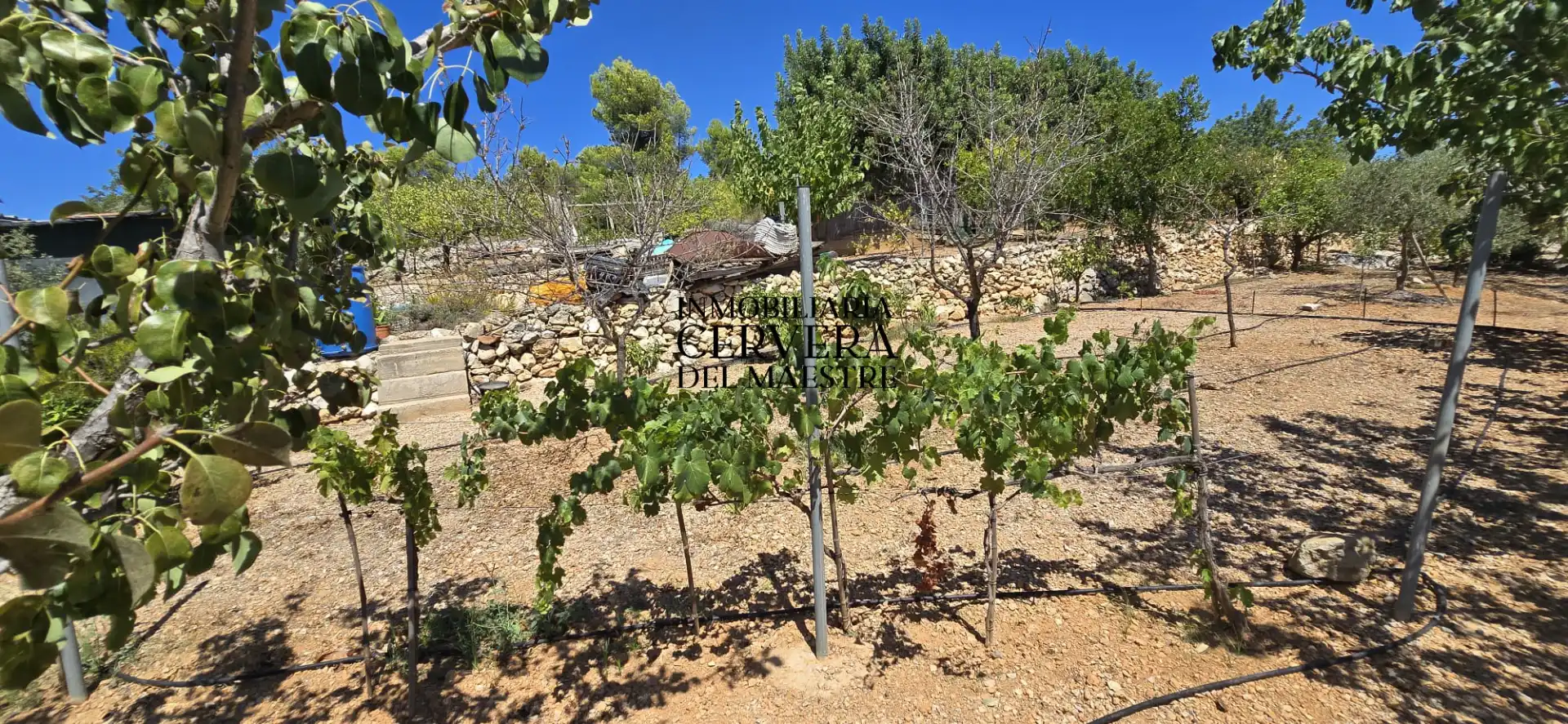 Rural land for sale in Vía Po Polígono 17 60, imagen 33