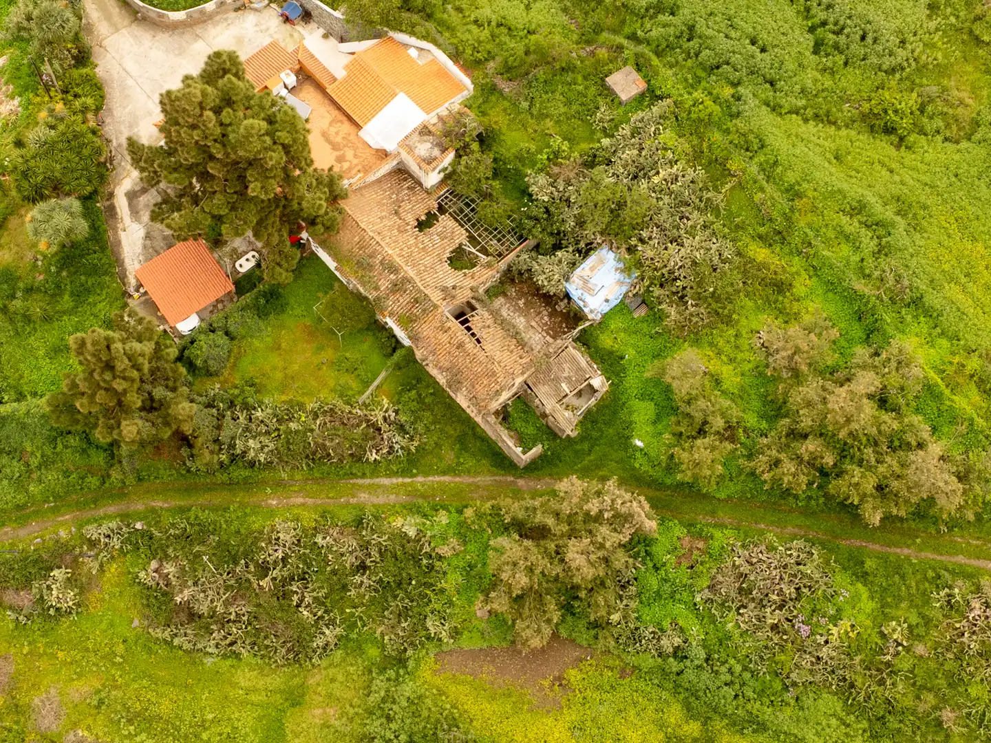 Country homes for sale in Santa Brígida  with Private garden and Terrace