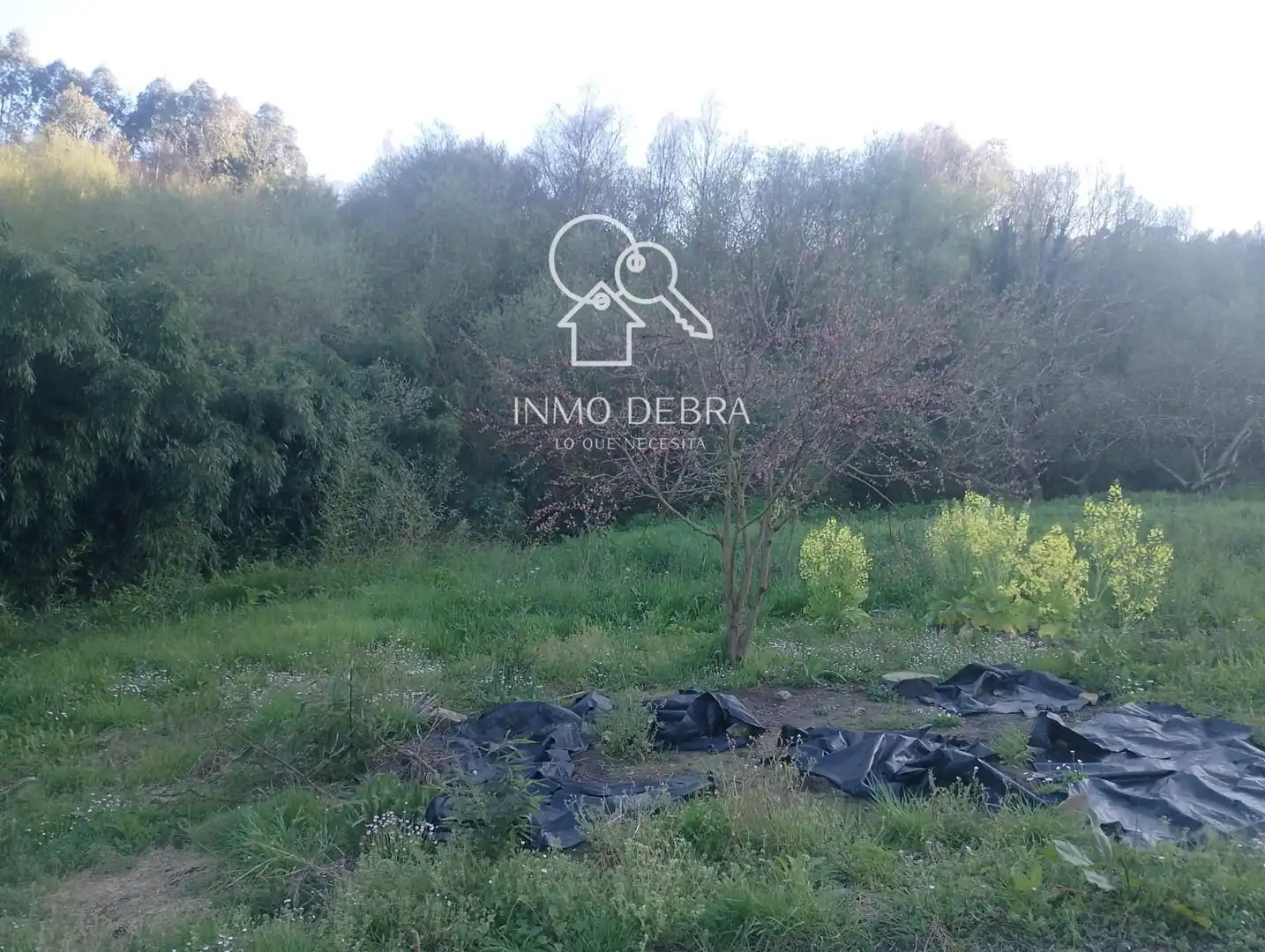 Casa o chalet en venta en Cudillero